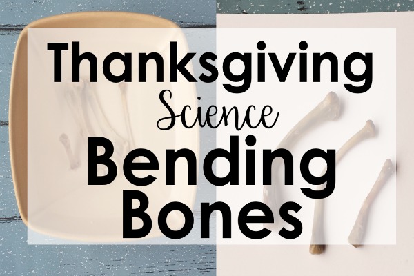 Engage your students this Thanksgiving with a bending bones experiment with turkey bones (or chicken). FREE science reading activity and directions for this Thanksgiving science activity on the post.