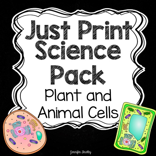 Plant and animal cell teaching activities