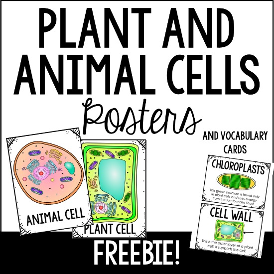 FREE plant and animal cell posters