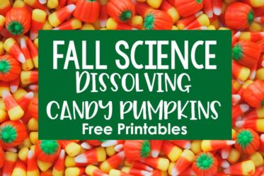 Fall or Halloween Science Experiment Freebies! Grab free printables to complete a fall science experiment that involves dissolving candy pumpkins in various liquids. Perfect for fall and Halloween!