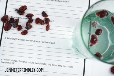 Thanksgiving Science Activities {With Cranberries} - Teaching with ...