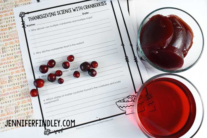 Thanksgiving Science Activities with Cranberries