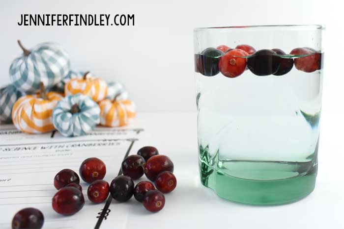 Thanksgiving Science Activities with Cranberries