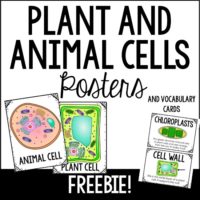 Videos for Teaching Plant and Animal Cells