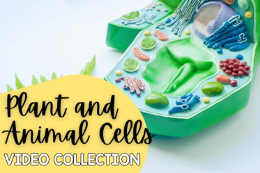 Using videos in science is a great way to reinforce what you are teaching. This post shares videos for teaching plant and animal cells.