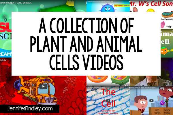 Using videos in science is a great way to reinforce what you are teaching. This post shares videos for teaching plant and animal cells.