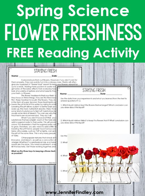 Which liquid substances will keep the flowers the freshest? Read more and grab free printables and a reading passage to complete this science experiment with your 4th and 5th graders.