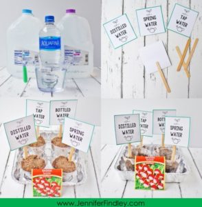 Spring Science Experiments With Free Reading Activities