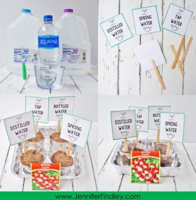 Spring Science Experiments with Free Reading Activities