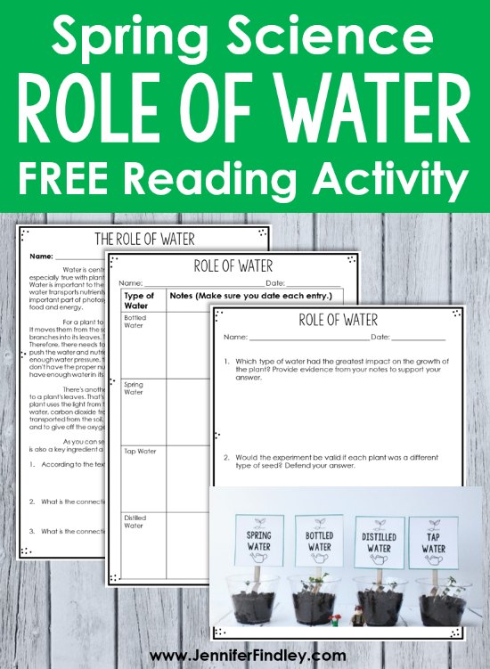 What affect does water types have on plant growth? Read more and grab free printables and a reading passage to complete this science experiment with your 4th and 5th graders.