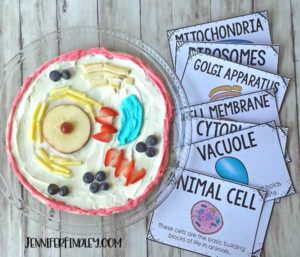 Edible Animal Cells - Teaching with Jennifer Findley