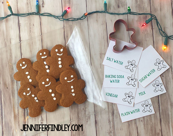 This gingerbread cookie experiment is a perfect Christmas science activity. Get all the details including a free reading passage on this post.