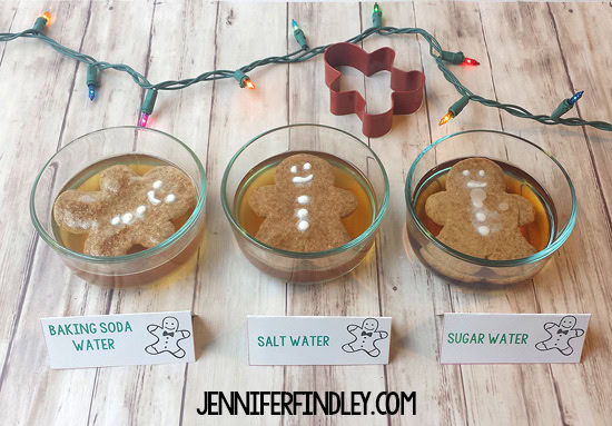 This gingerbread cookie experiment is a perfect Christmas science activity. Get all the details including a free reading passage on this post.