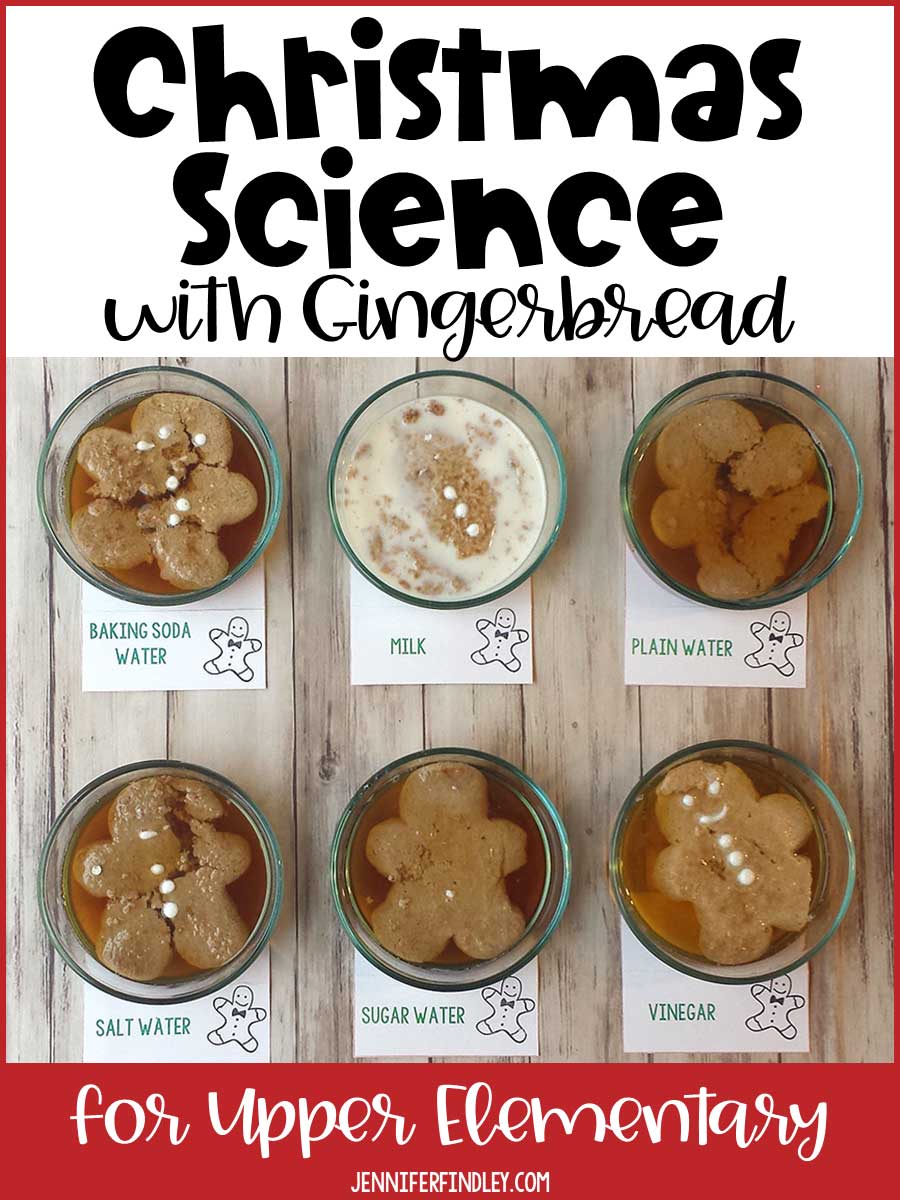 This gingerbread cookie experiment is a perfect Christmas science activity. Get all the details including a free reading passage on this post.