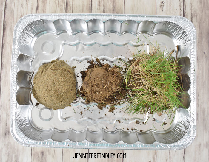 If you're looking for a way to give students a firsthand look at erosion, this is a great experiment to do so. In this science experiment, students will answer the question Does Grass Help Prevent the Erosion From Water?