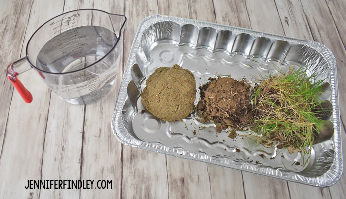 This erosion science experiment with grass is a perfect spring science activity. Get all the details including a free reading passage on this post.