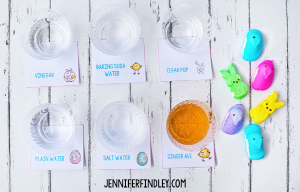 This dissolving Peeps® experiment is a perfect Easter science activity for elementary students. Get all the details including a free reading passage and recording booklet on this post.