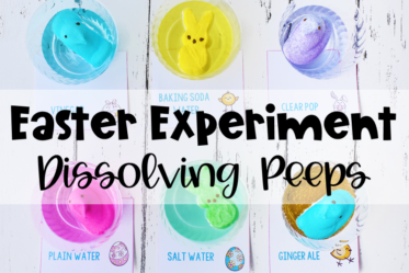 This dissolving Peeps® experiment is a perfect Easter science activity for elementary students. Get all the details including a free reading passage and recording booklet on this post.