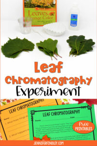 leaf chromatography experiment hypothesis