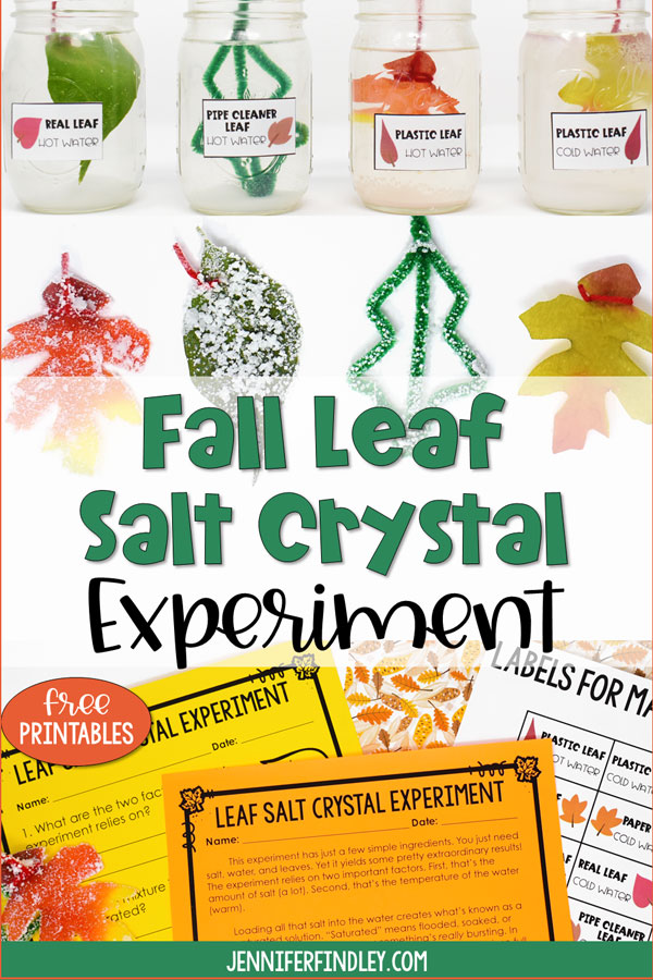 This leaf salt crystal experiment is a perfect call activity for upper elementary students. Get all the details including a free reading passage on this post.