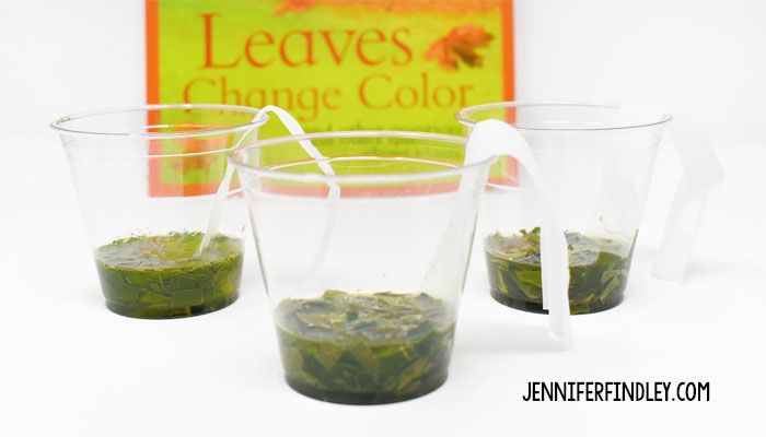 This leaf chromatography experiment is a perfect fall science activity for upper elementary students. Get all the details including a free reading passage on this post.