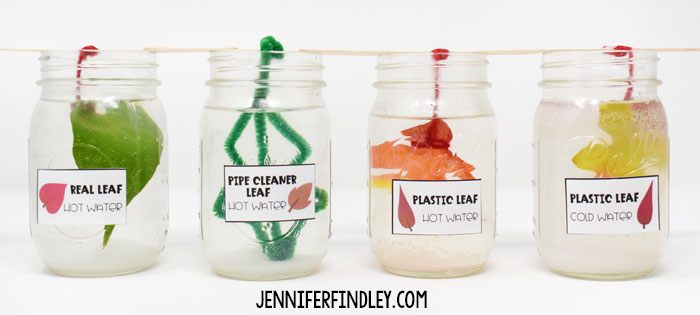 This leaf salt crystal experiment is a perfect call activity for upper elementary students. Get all the details including a free reading passage on this post.