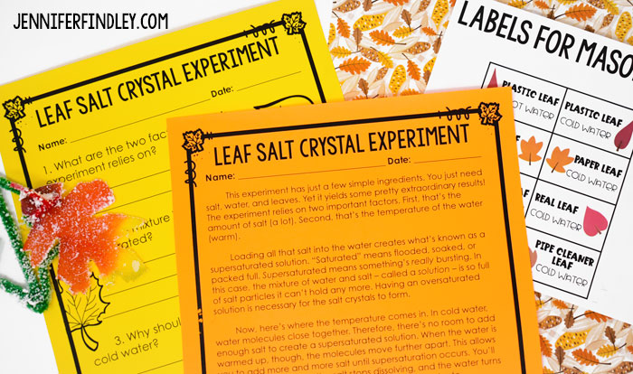 This leaf salt crystal experiment is a perfect call activity for upper elementary students. Get all the details including a free reading passage on this post.