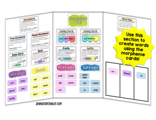 Morphology walls can be portable! Read more ideas about implement a morphology wall on this post.