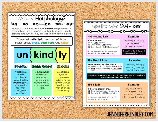 Free morphology teaching posters