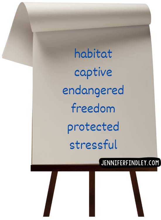 A simple classroom routine that helps students use stronger vocabulary when they write